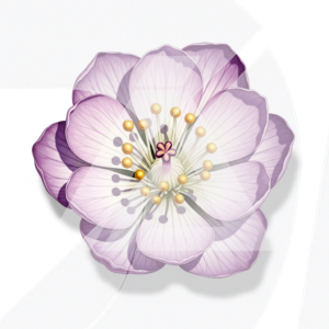 Flor Ilustrada Realista