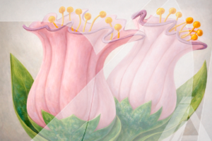 Flores Rosas Ilustradas