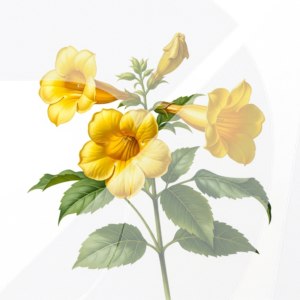 Obra Floral Hiperrealista