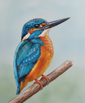 Pájaro Martin Pescador en rama