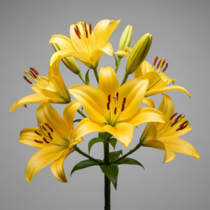 Flores foto fiel 8k