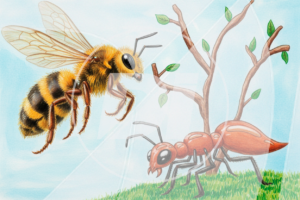 Abeja y hormiga di