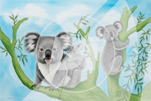 Koalas di